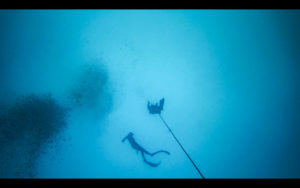 Freediver Course | Panama Dive Center santa-catalina-panama-freediver-course