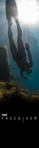 Coiba Freediver Course | Panama Dive Center Coiba Freediver Course